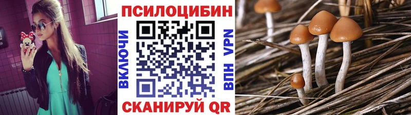 Купить закладки  Выкса  Псилоцибиновые грибы мухоморы 